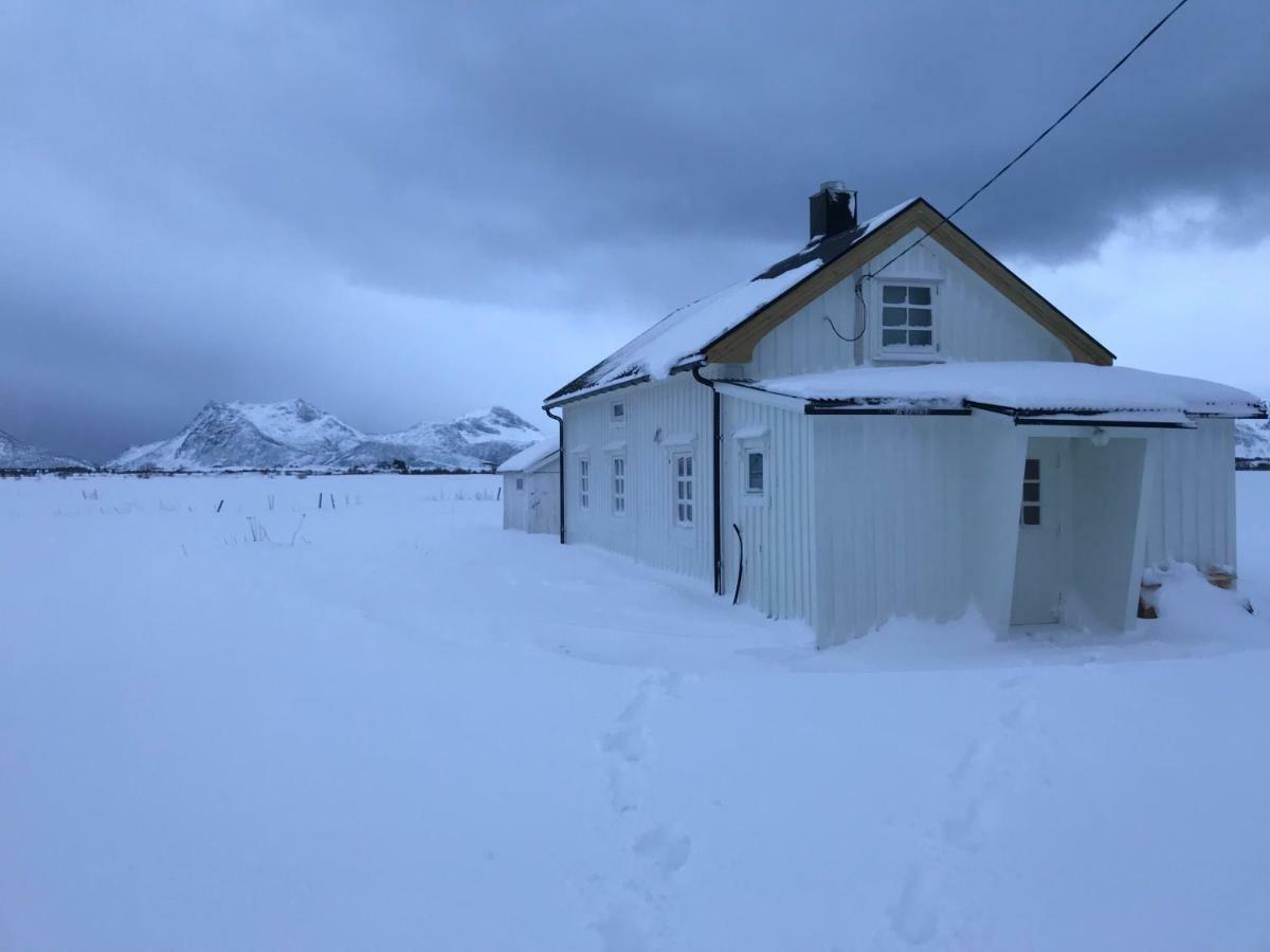 Narnia Lodge Lofoten Gimsoy Exterior photo