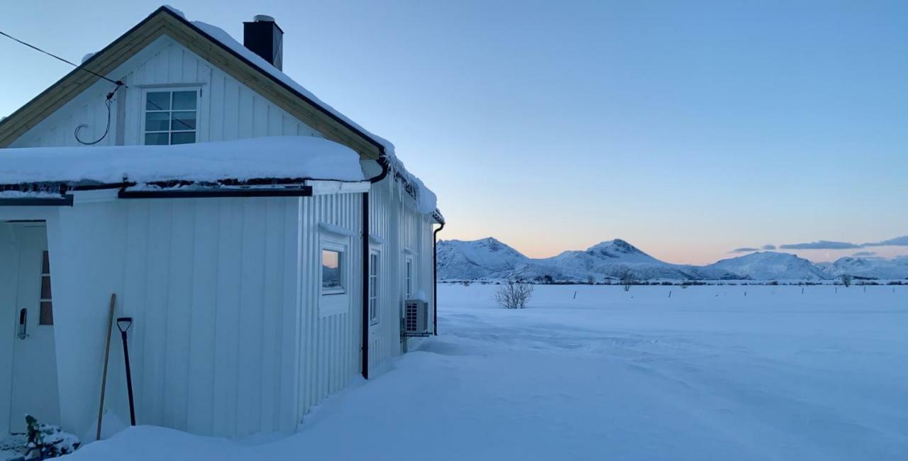 Narnia Lodge Lofoten Gimsoy Exterior photo