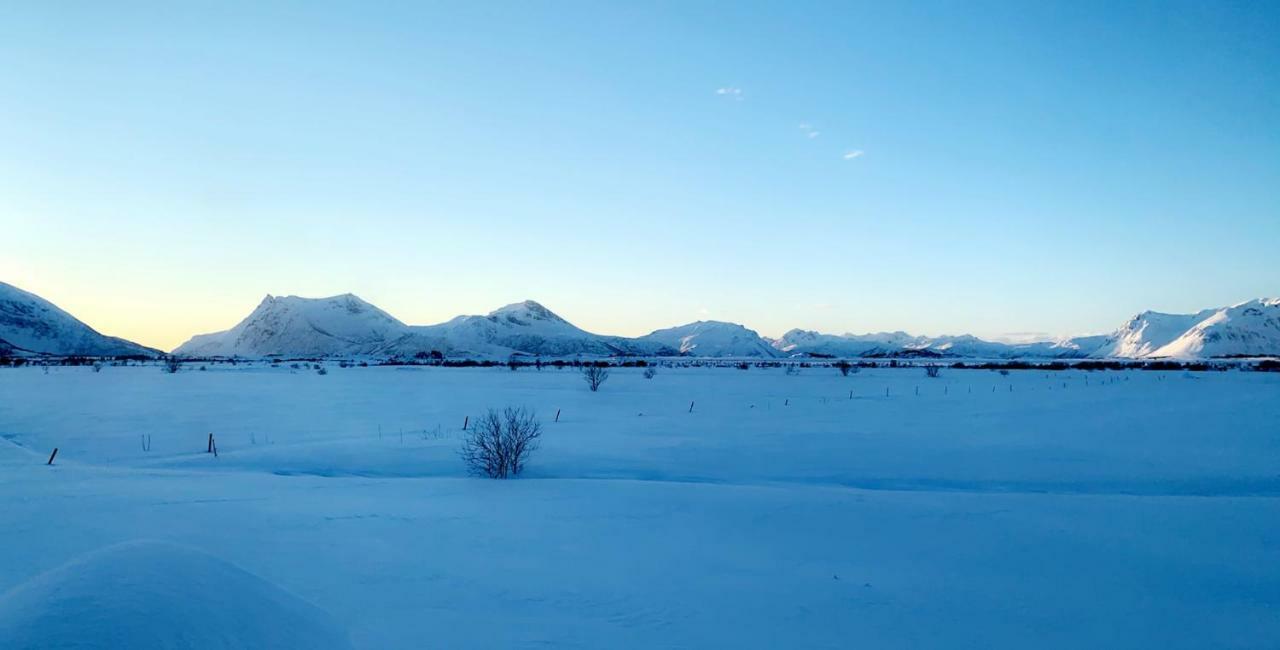 Narnia Lodge Lofoten Gimsoy Exterior photo