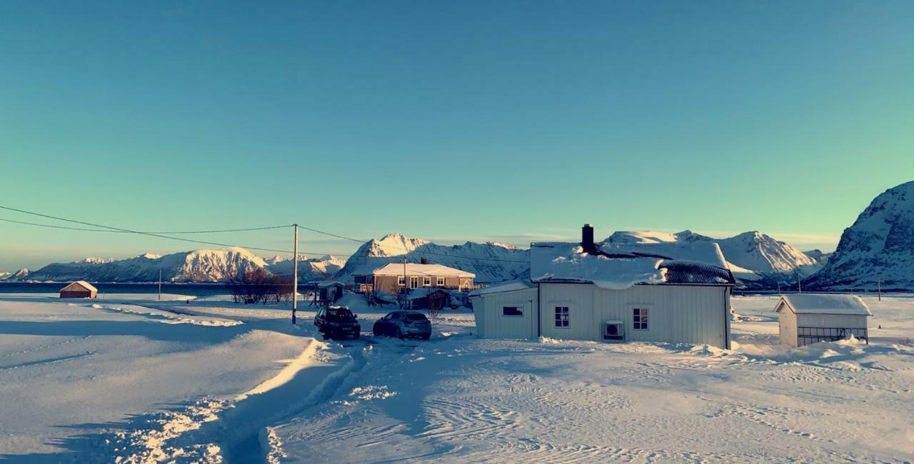 Narnia Lodge Lofoten Gimsoy Exterior photo