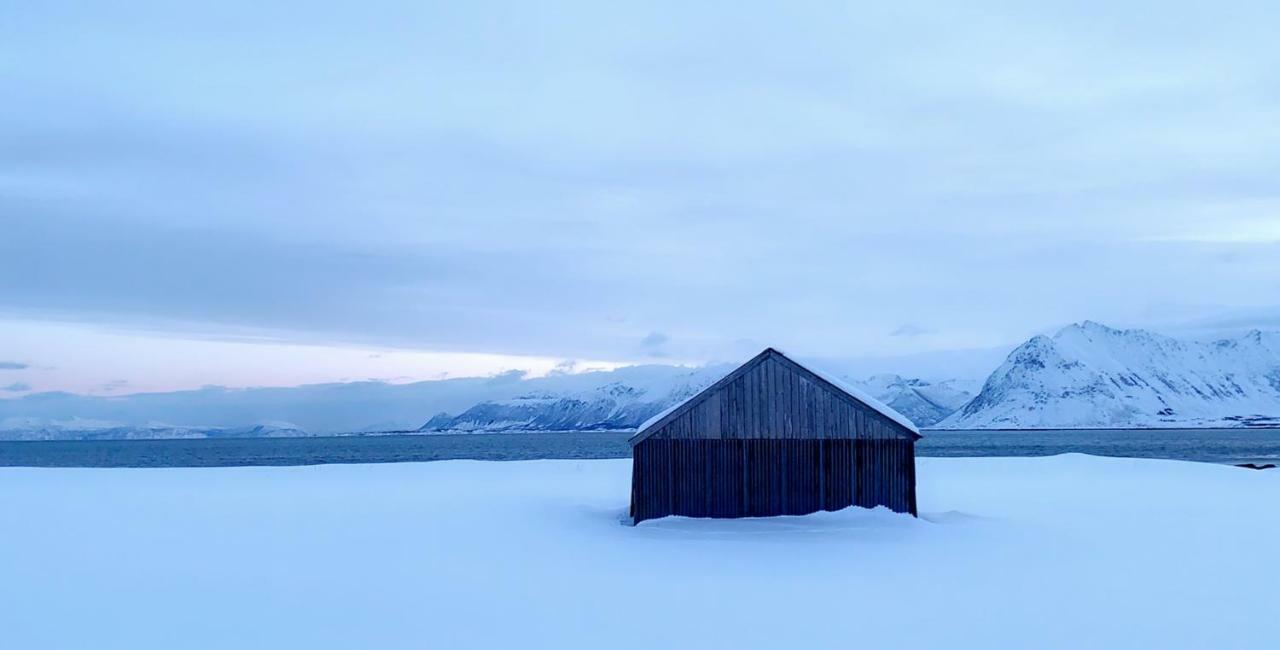 Narnia Lodge Lofoten Gimsoy Exterior photo