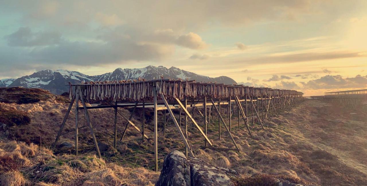 Narnia Lodge Lofoten Gimsoy Exterior photo