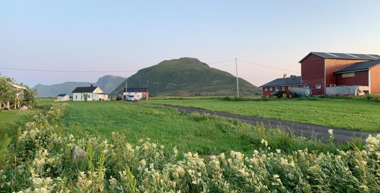 Narnia Lodge Lofoten Gimsoy Exterior photo